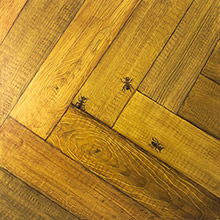 Imitation parquet ou se promenent les fourmis
